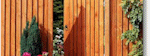Wooden fencing in london