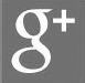 Google icon
