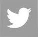 Twitter icon