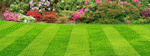 New turf in london