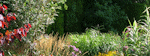 Wild Garden in london